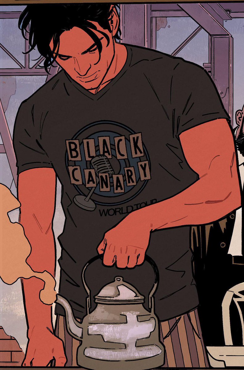 NIGHTWING BLACK CANARY Cotton T-Shirt